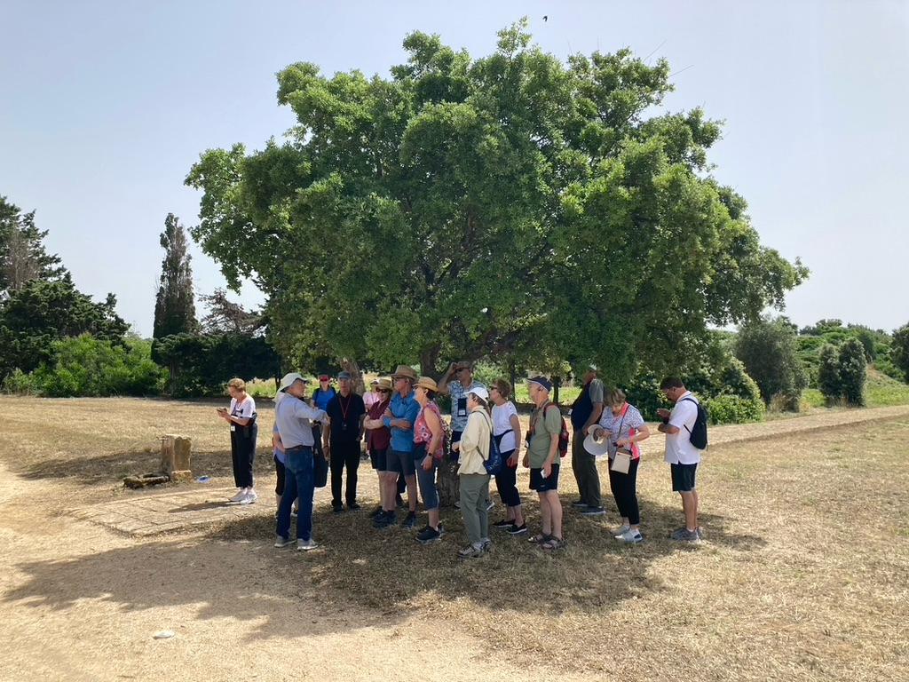 Licensed local guides from Agrigento leading cultural tours in Sicily